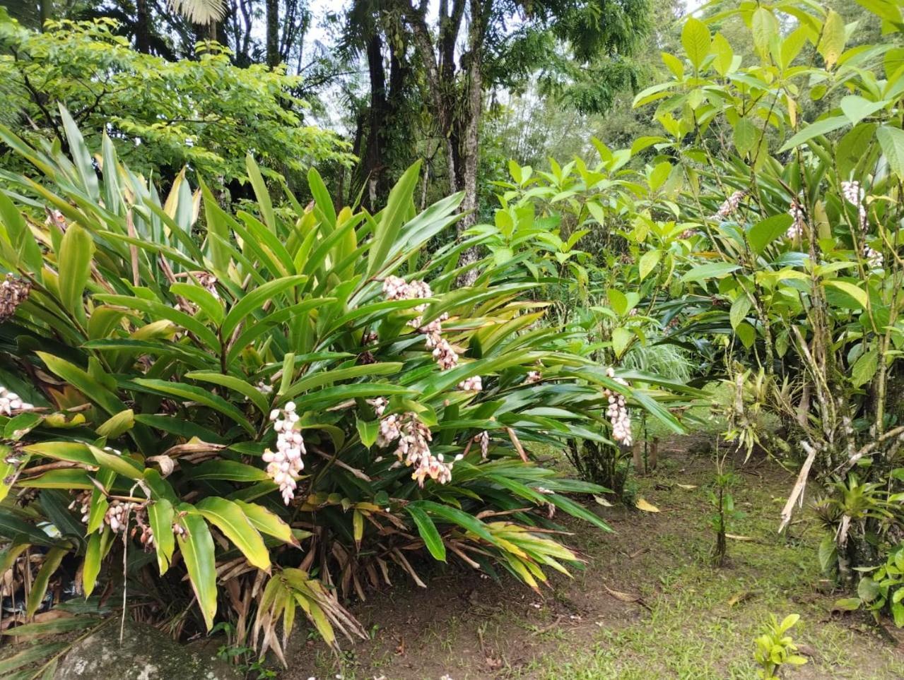Pousada Morretes Arraial Luaran gambar