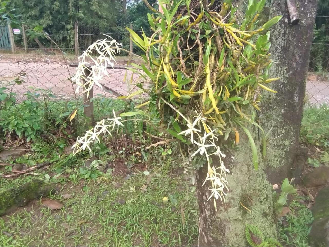 Pousada Morretes Arraial Luaran gambar