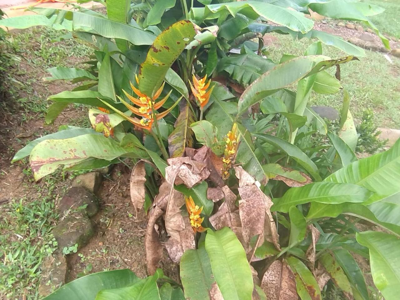 Pousada Morretes Arraial Luaran gambar